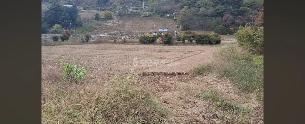 강원특별자치도 정선군 화암면 토지 사진 1