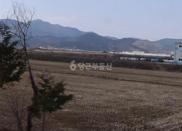 경상남도 김해시 진례면 토지 사진 1