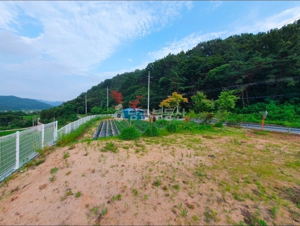 경상북도 고령군 쌍림면 토지 사진 1
