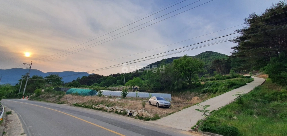 경상북도 성주군 가천면 토지 사진 1