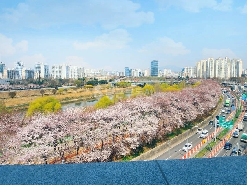 서울특별시 영등포구 양평동3가 원룸 사진 1