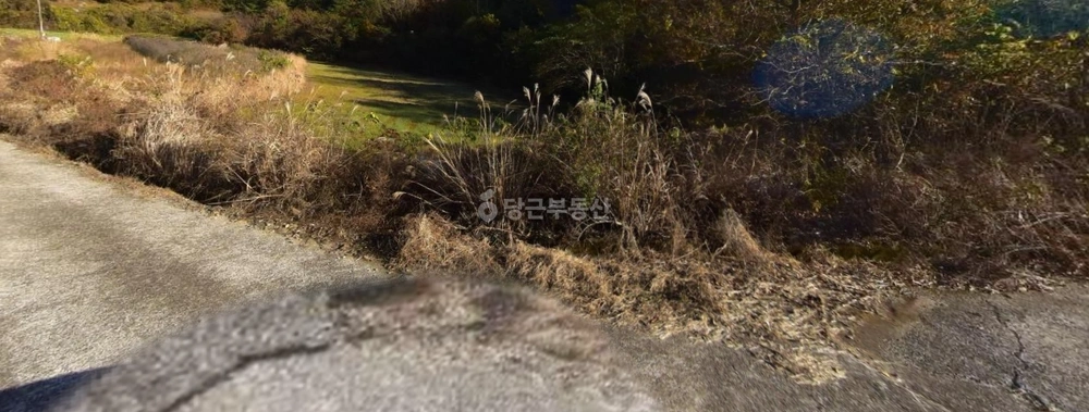 전남광주통합특별시 고흥군 점암면 토지 사진 1