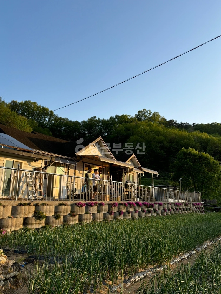 충청남도 홍성군 홍동면 단독/전원주택 사진 1