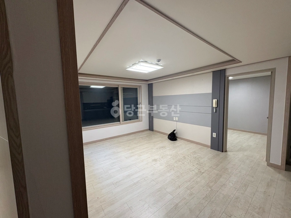 경상북도 포항시 북구 덕산동 빌라(투룸 이상) 사진 1