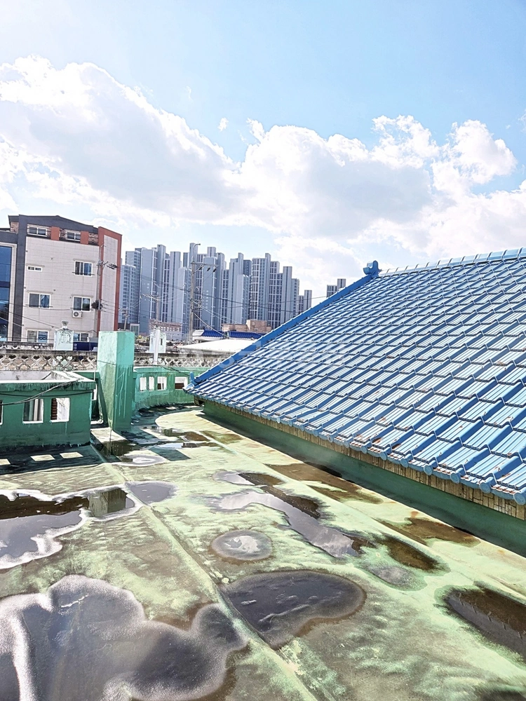 충청남도 천안시 동남구 원성동 원룸 사진 1