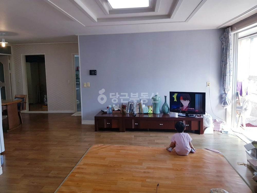 경상북도 경주시 황성동 빌라(투룸 이상) 사진 1