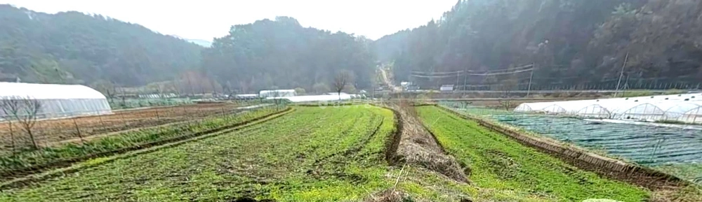 강원특별자치도 춘천시 동산면 토지 사진 1