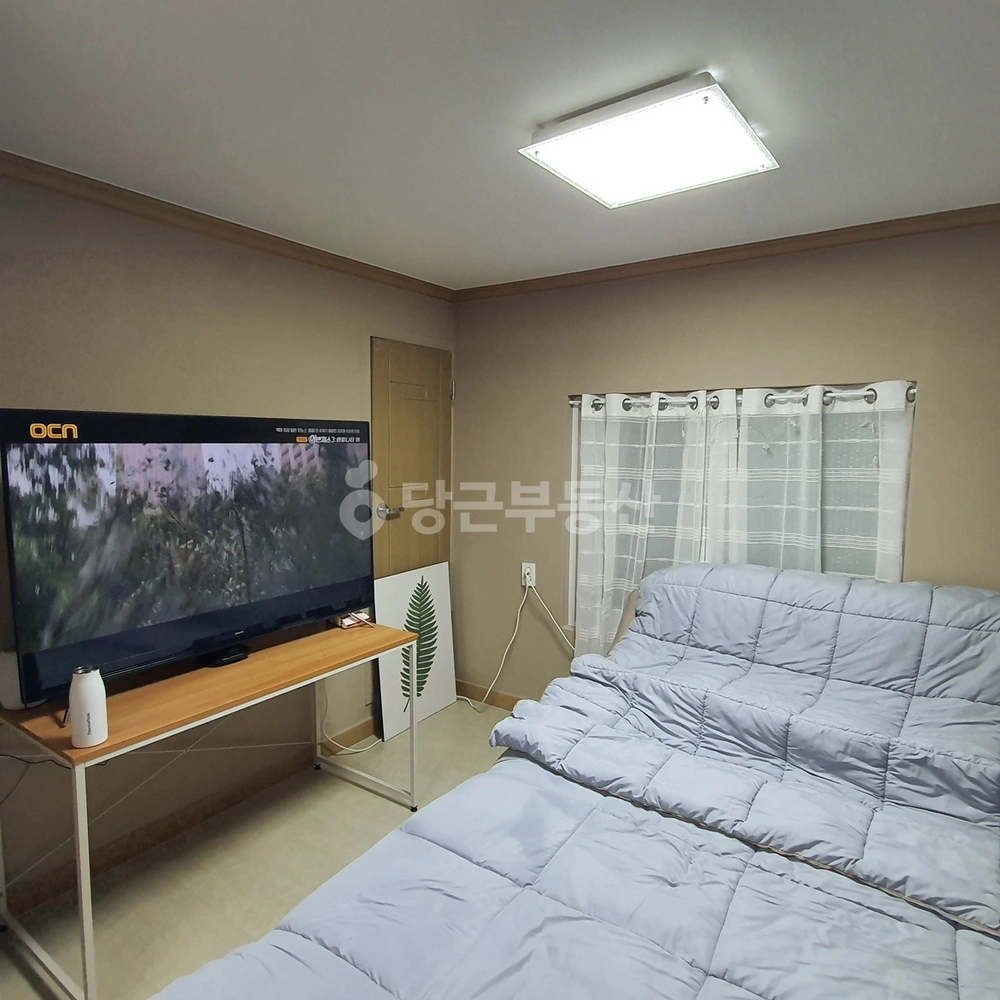 대전광역시 중구 대사동 단독/전원주택 사진 1