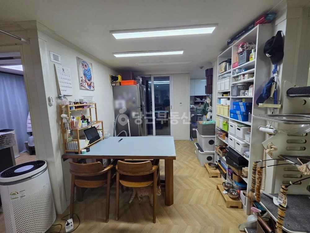 강원특별자치도 속초시 교동 아파트 사진 1