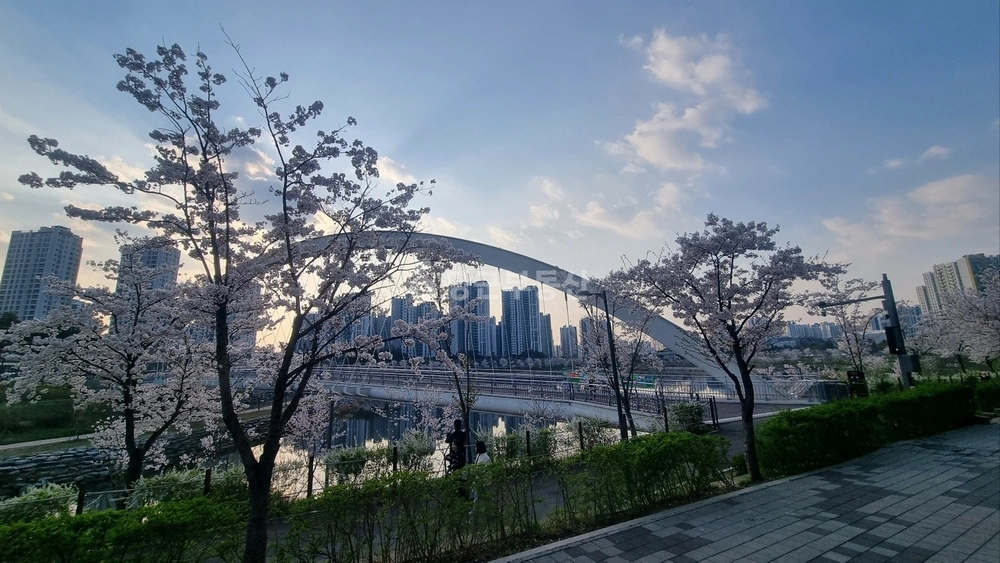 경기도 하남시 망월동 상가 사진 1
