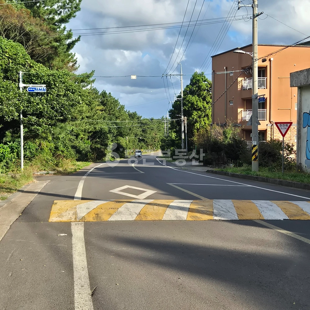 제주특별자치도 서귀포시 성산읍 토지 사진 1