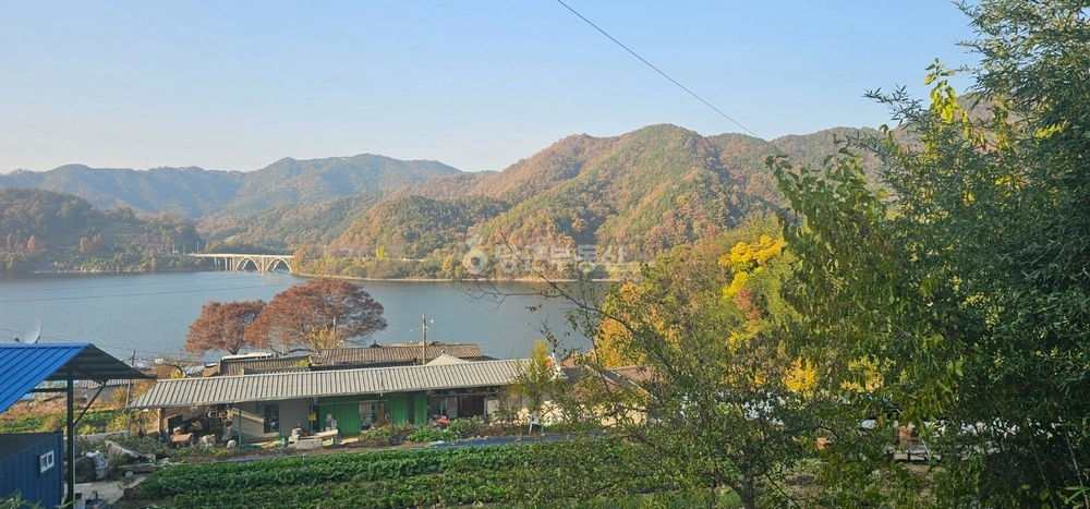 경상남도 합천군 봉산면 토지 사진 1