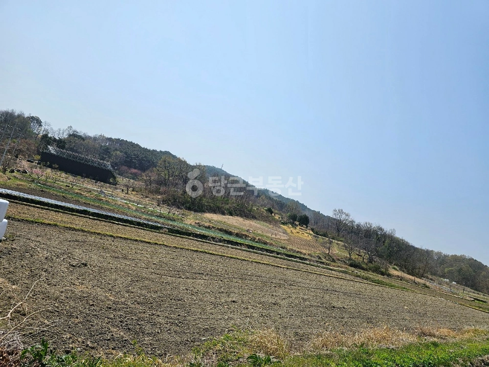 경상남도 함양군 지곡면 토지 사진 1