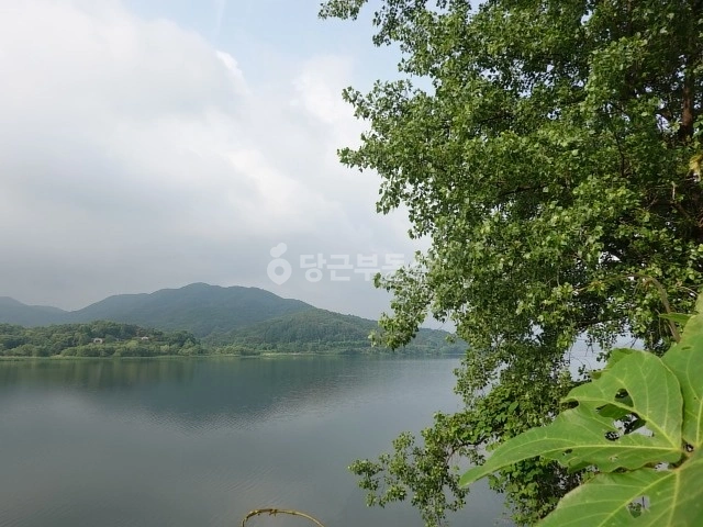 경기도 양평군 청운면 토지 사진 1