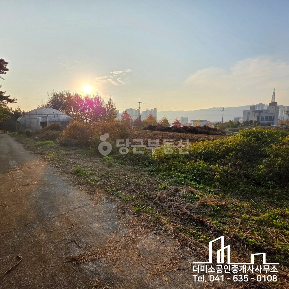 충청남도 예산군 삽교읍 상가 사진 1