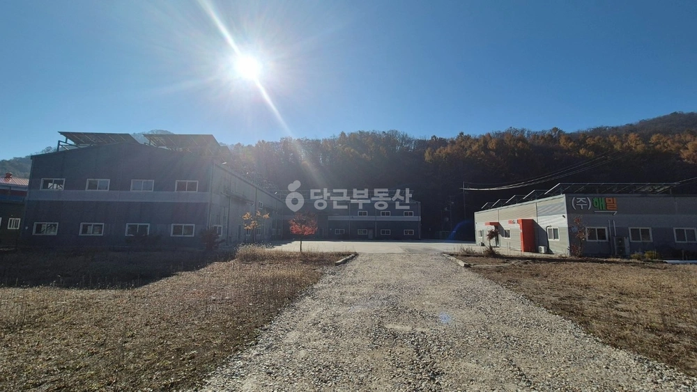 강원특별자치도 원주시 지정면 공장/창고 사진 1