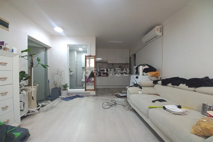 서울특별시 서초구 양재동 원룸 사진 1