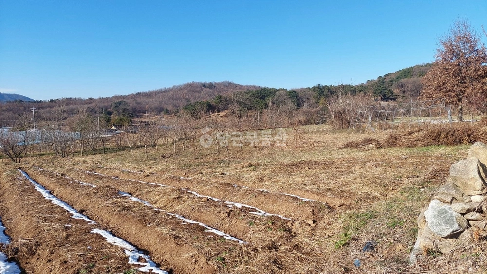 충청남도 논산시 상월면 토지 사진 1