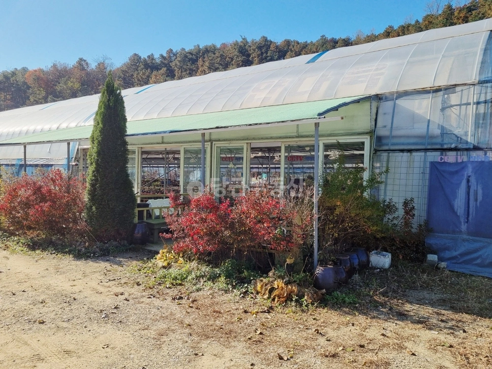 경기도 수원시 장안구 하광교동 토지 사진 1