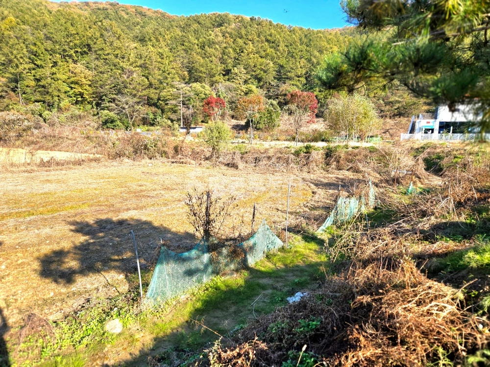 경기도 광주시 도척면 토지 사진 1