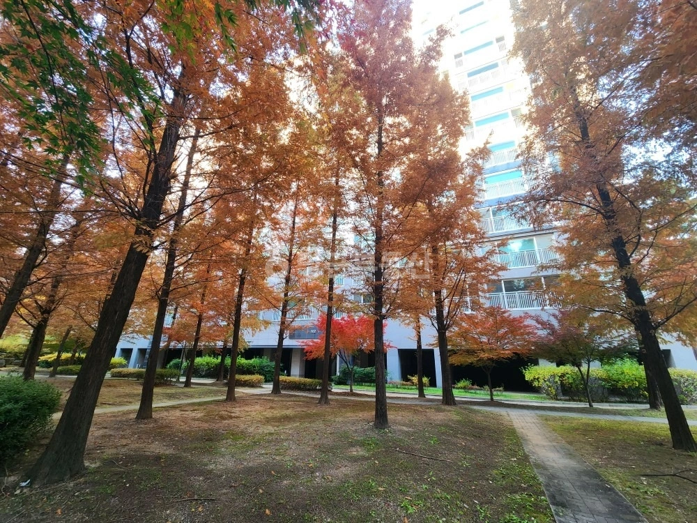 충청남도 천안시 서북구 쌍용동 아파트 사진 1
