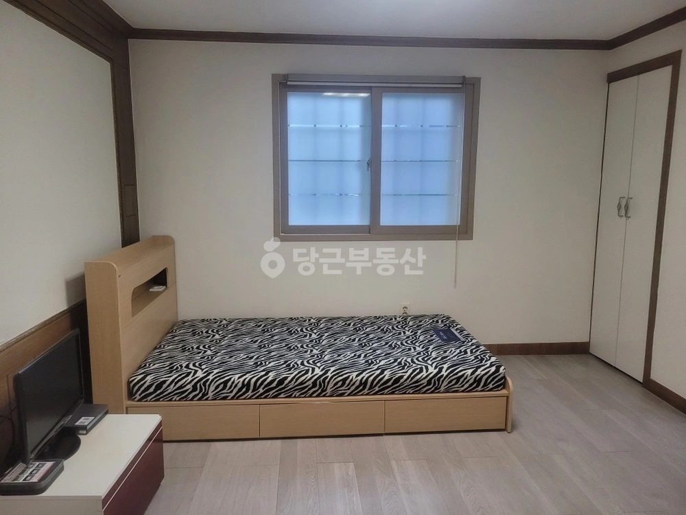 경상북도 포항시 북구 장성동 원룸 사진 1