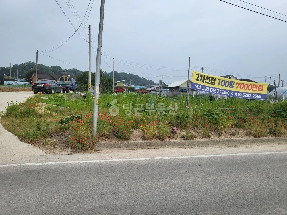 경기도 여주시 세종대왕면 토지 사진 1