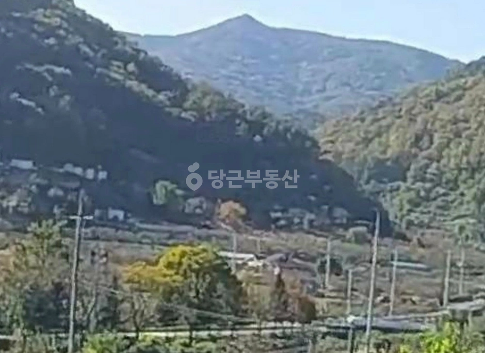 경상북도 청도군 매전면 토지 사진 1