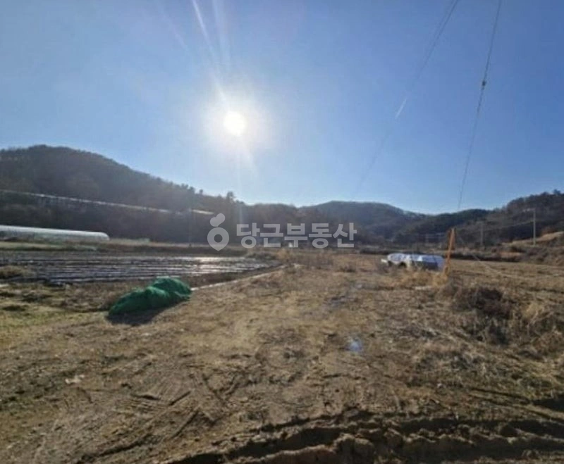 충청남도 천안시 동남구 성남면 토지 사진 1