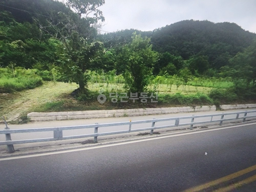 강원특별자치도 강릉시 성산면 토지 사진 1