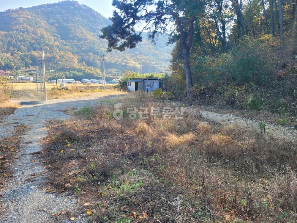 경상남도 거제시 연초면 토지 사진 1