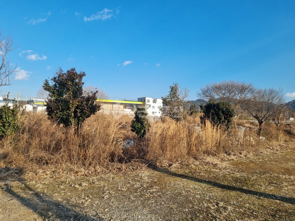 전남광주통합특별시 북구 용전동 토지 사진 1