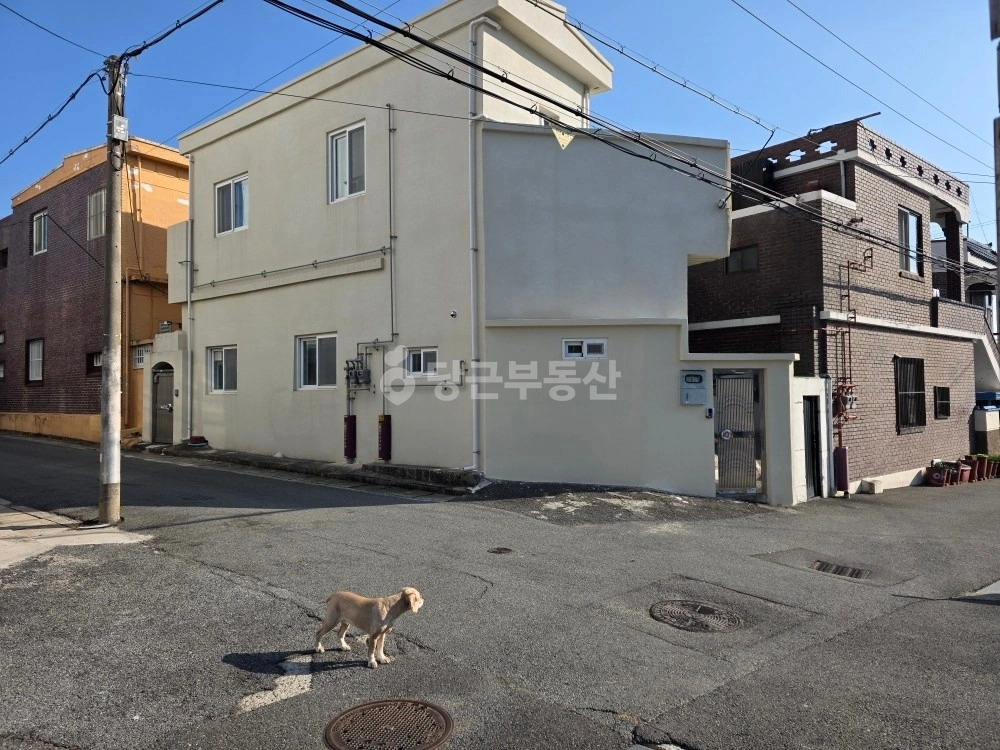경상남도 창원시 진해구 경화동 단독/전원주택 사진 1