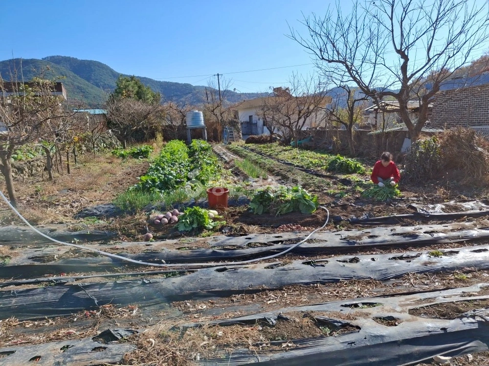 경상남도 고성군 회화면 토지 사진 1