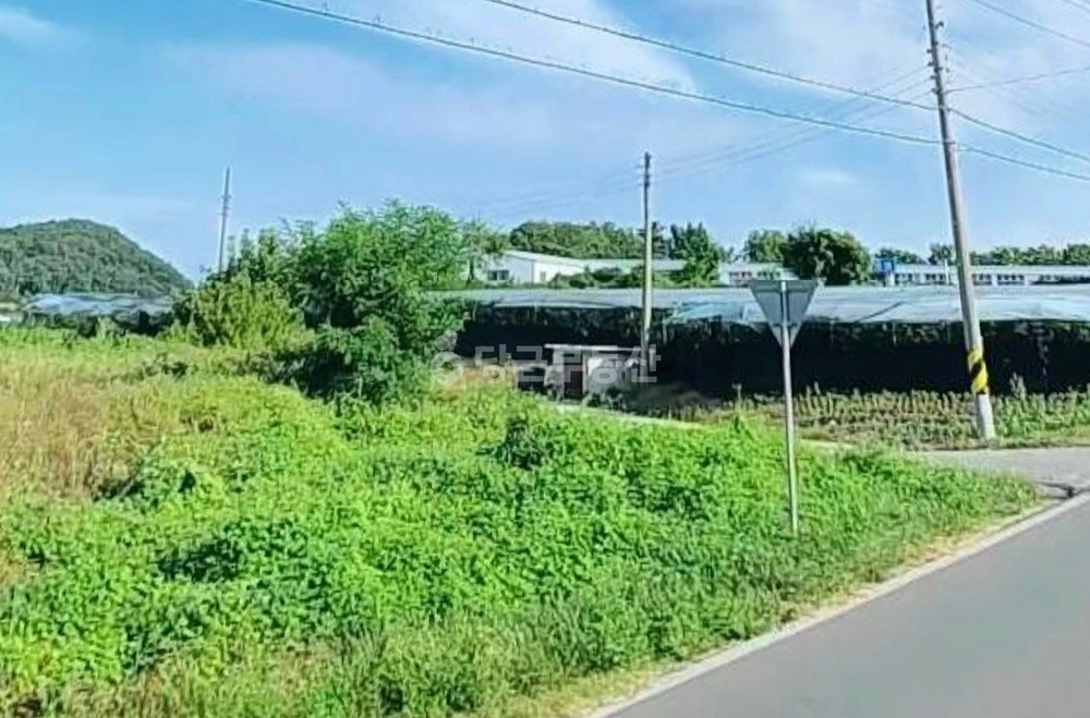 경상북도 영천시 금호읍 토지 사진 1