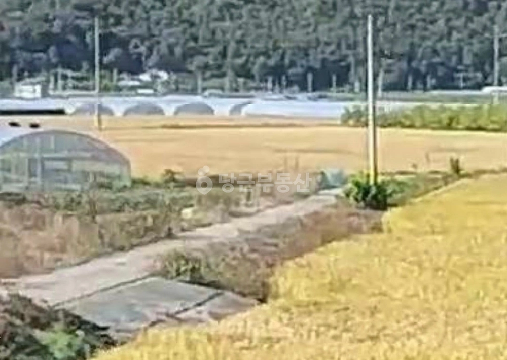 경상북도 청도군 매전면 토지 사진 1