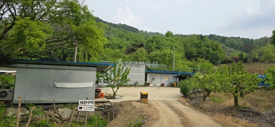 충청북도 증평군 증평읍 토지 사진 1
