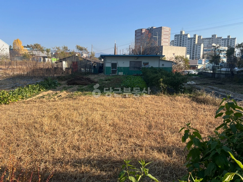 경상북도 고령군 다산면 토지 사진 1