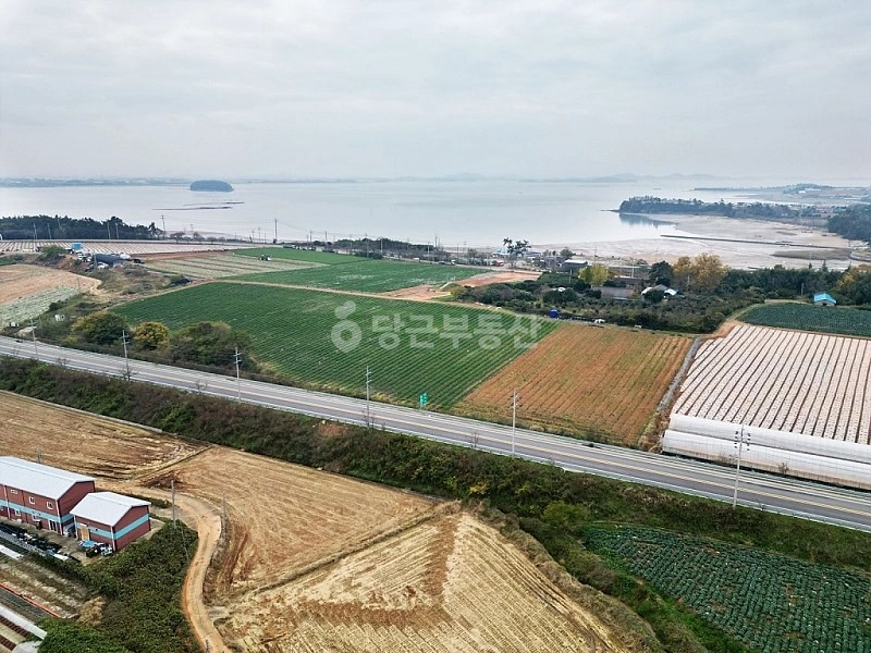 전남광주통합특별시 무안군 현경면 토지 사진 1