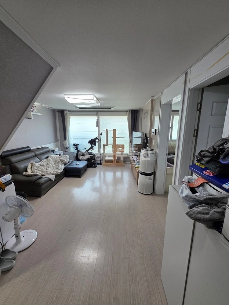 경기도 안산시 상록구 월피동 빌라(투룸 이상) 사진 1