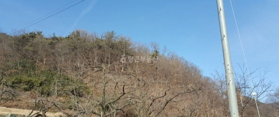 경상북도 청도군 이서면 토지 사진 1