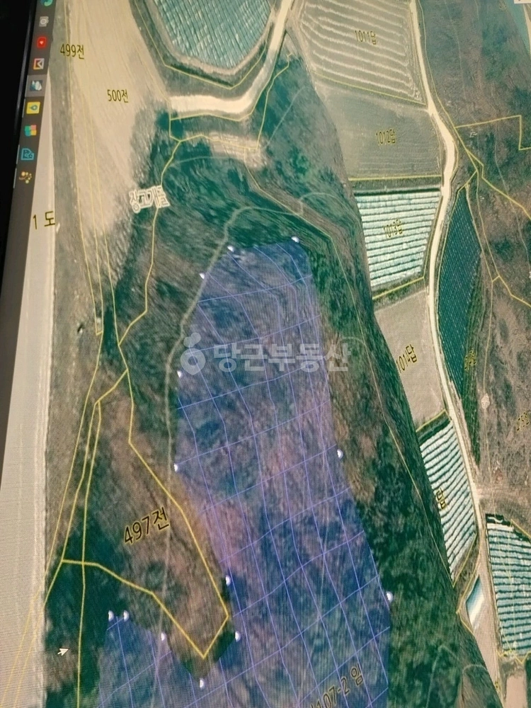 충청북도 괴산군 사리면 토지 사진 1