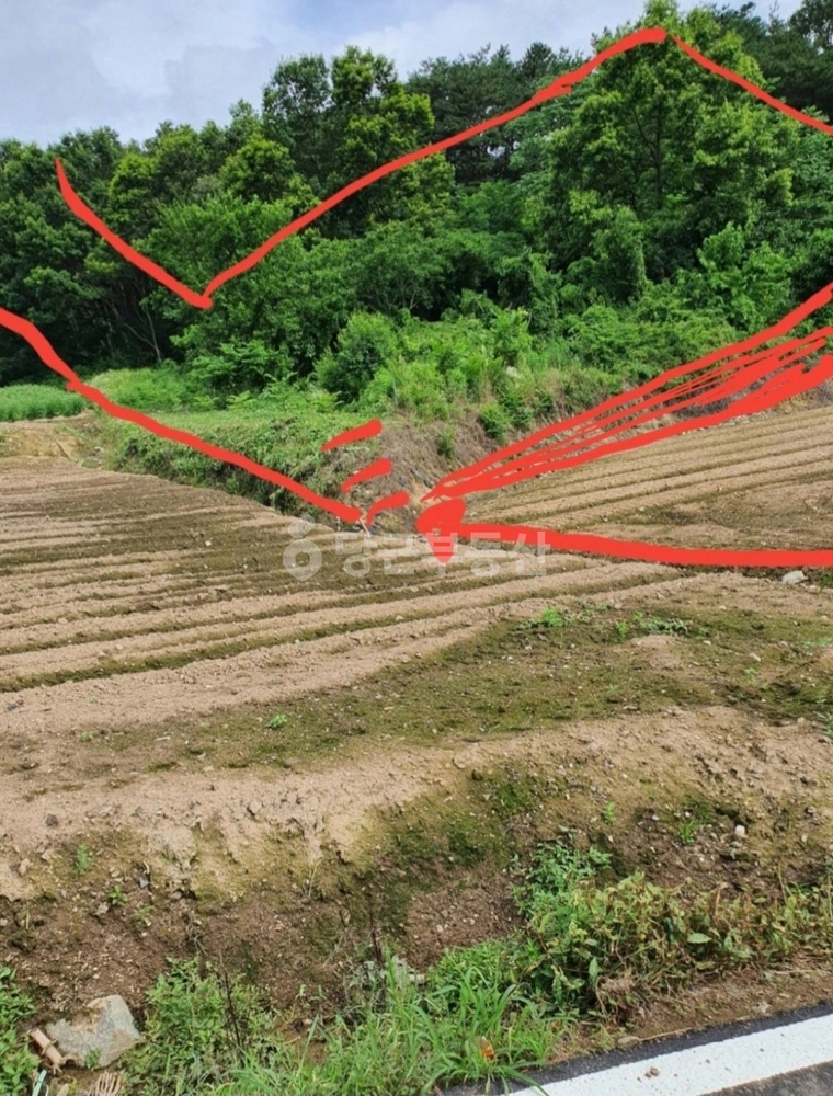 충청남도 아산시 도고면 토지 사진 1