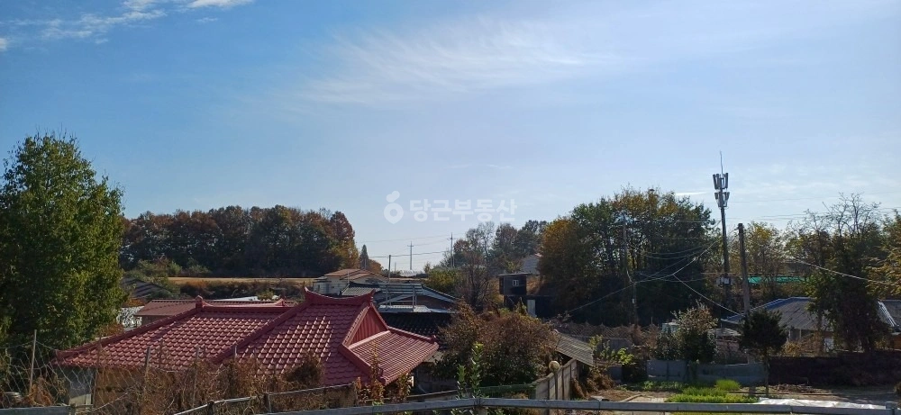 경기도 이천시 부발읍 토지 사진 1