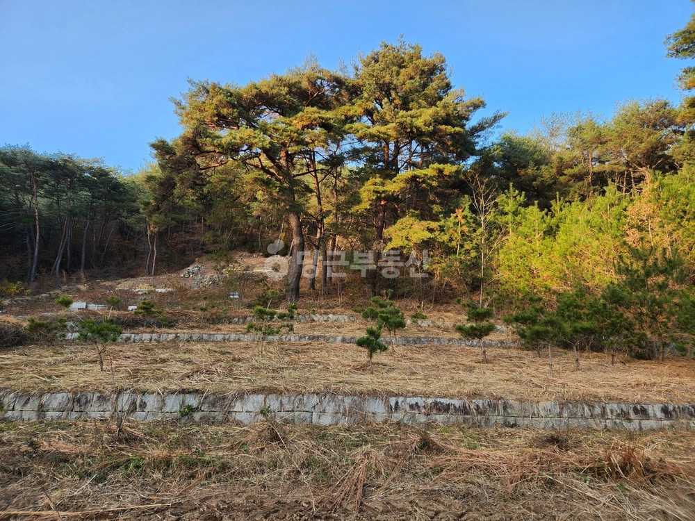경상남도 산청군 단성면 토지 사진 1