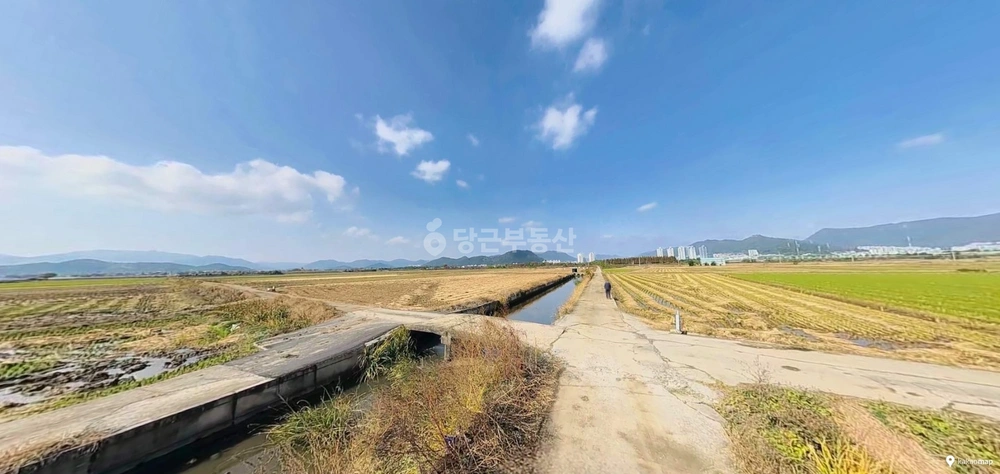 부산광역시 강서구 대저1동 토지 사진 1