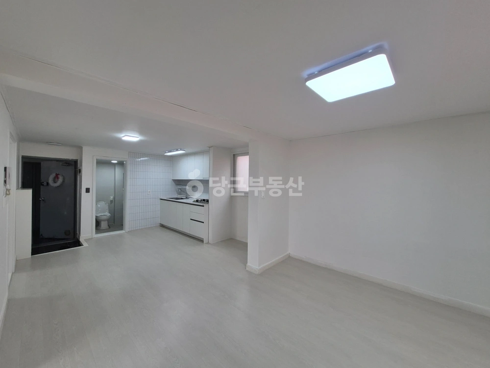 제주특별자치도 제주시 도남동 빌라(투룸 이상) 사진 1