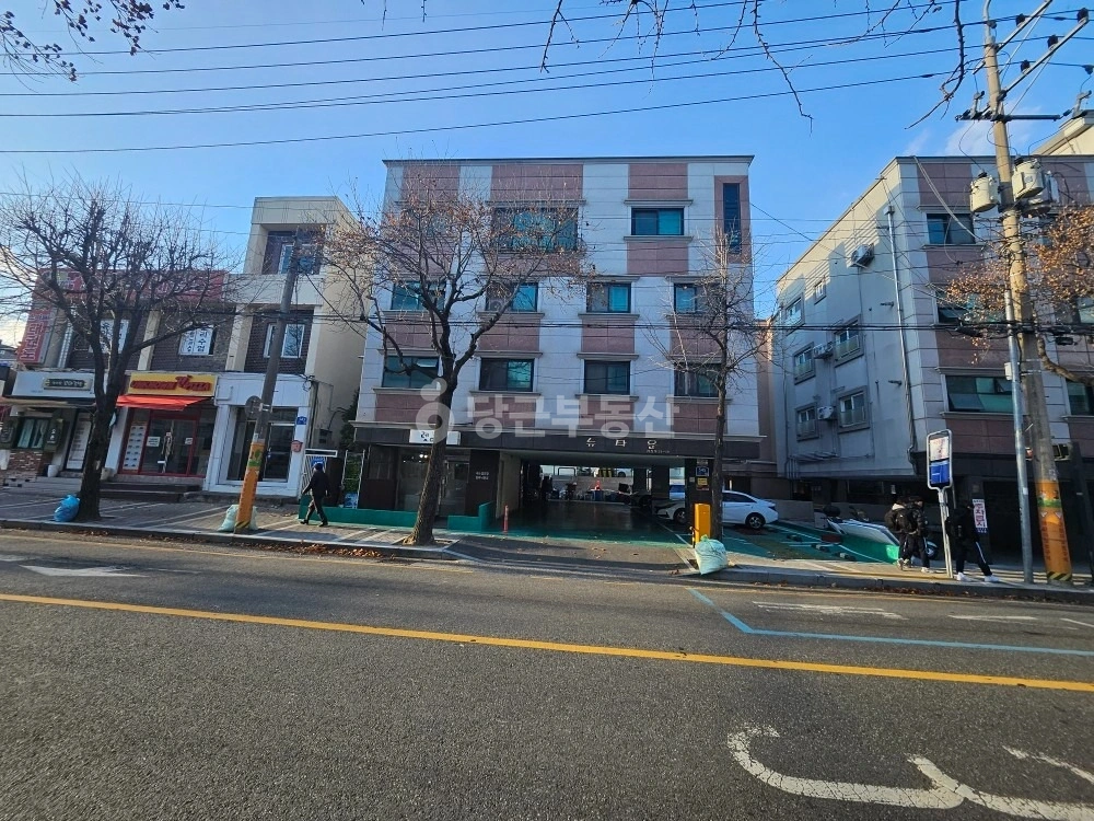 대전광역시 서구 괴정동 단독/전원주택 사진 1