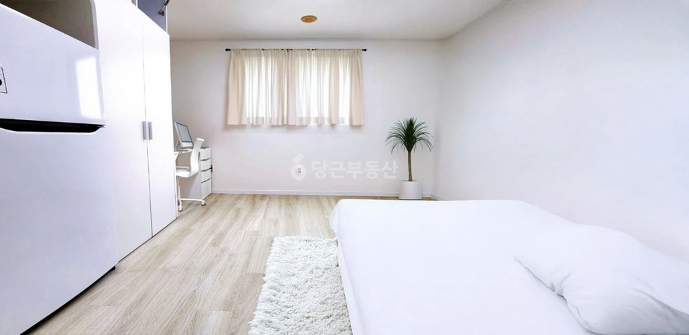 서울특별시 영등포구 당산동4가 원룸 사진 1