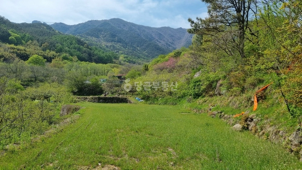 경상남도 하동군 악양면 토지 사진 1